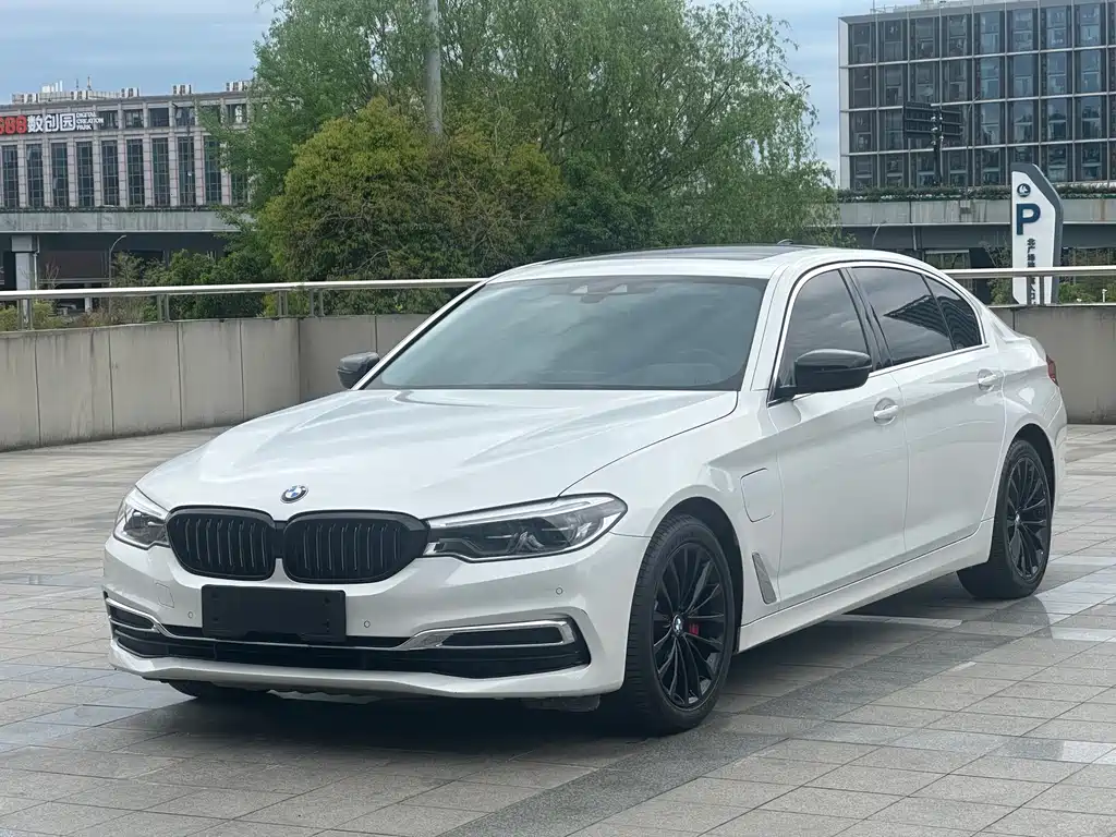 BMW 5 Series New Energy 2020