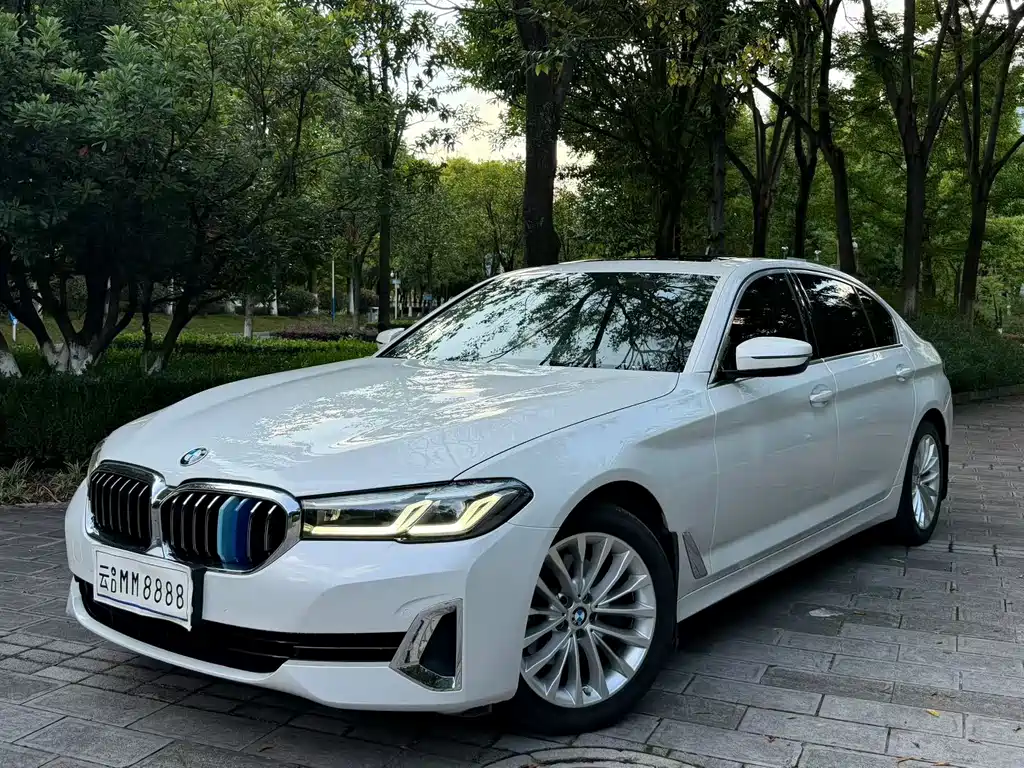 BMW 5 Series — миниатюра 2