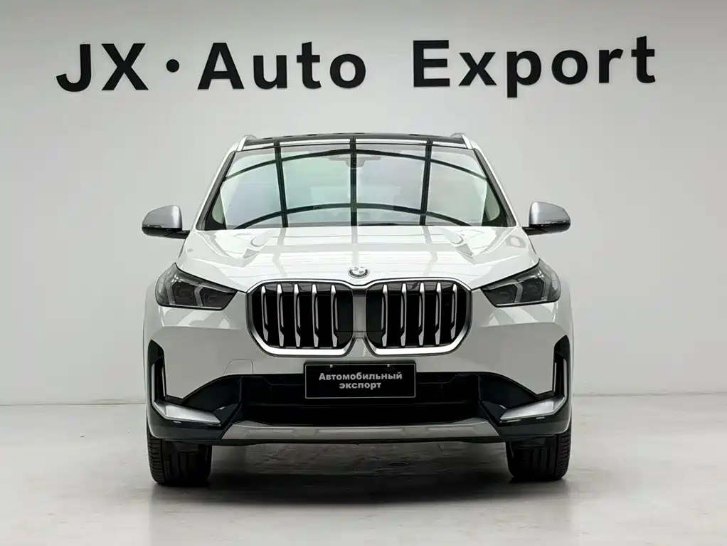 BMW X1 — миниатюра 2