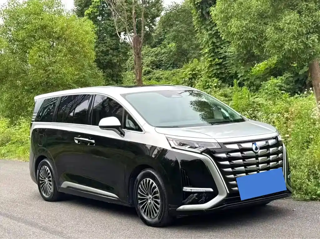 Denza Denza D9 — миниатюра 3