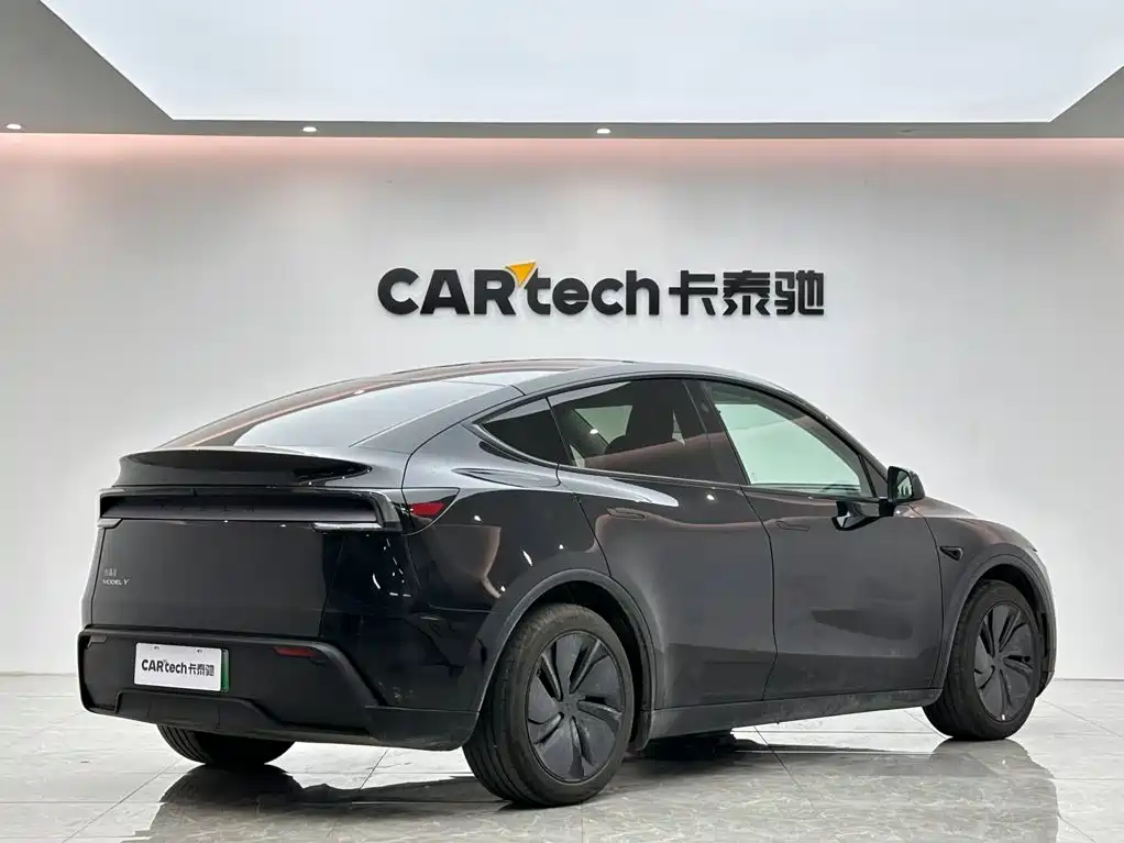 Tesla Model Y — миниатюра 5