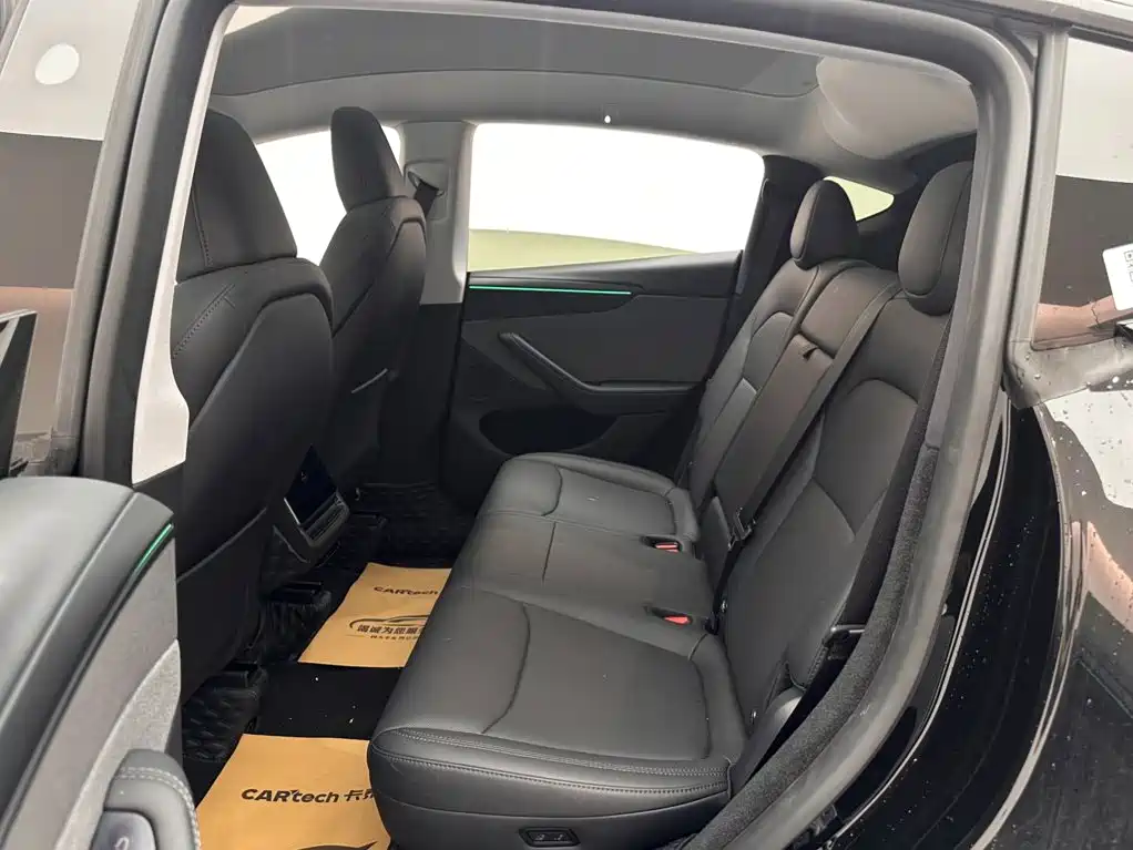 Tesla Model Y — миниатюра 9