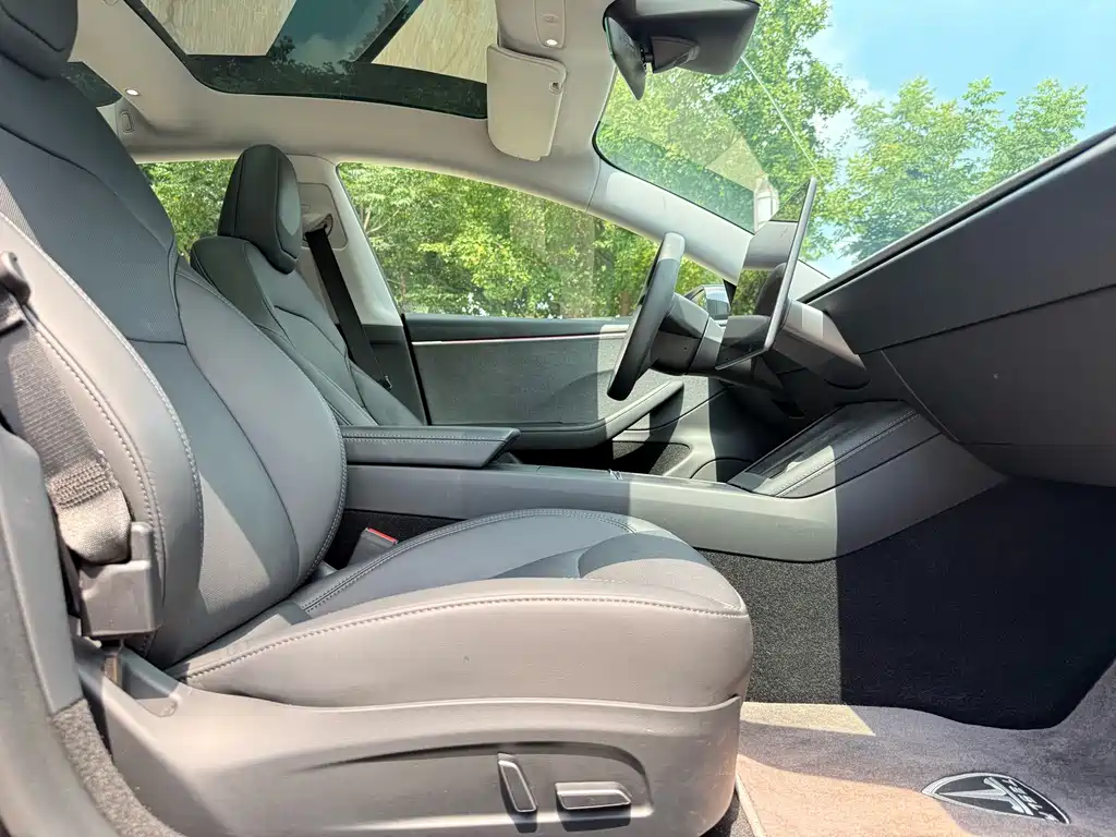 Tesla Model 3 — миниатюра 4