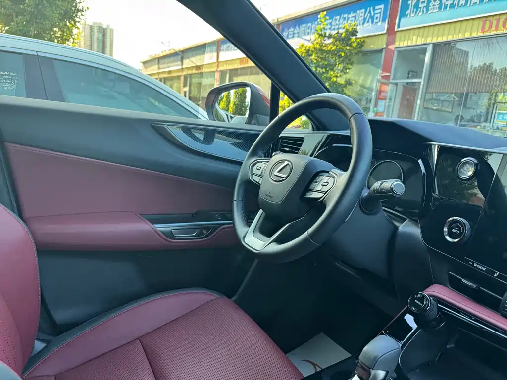 Lexus NX — миниатюра 14