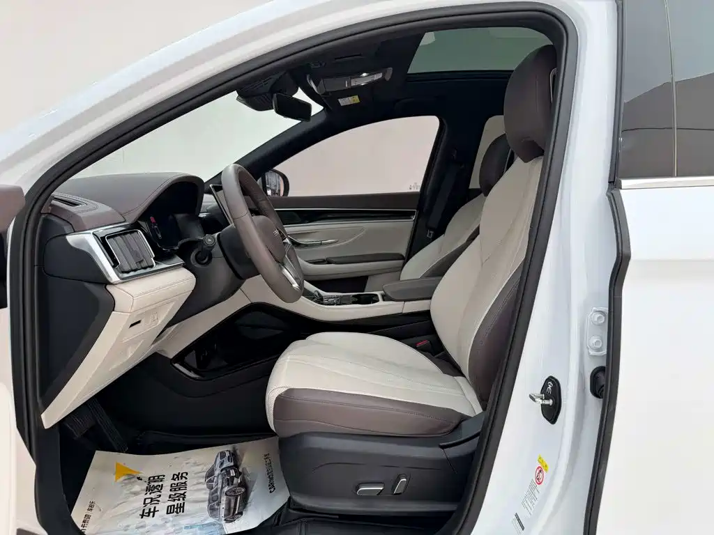 BYD PLUS New Energy — миниатюра 15
