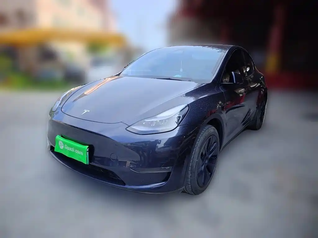 Tesla Model Y — миниатюра 2