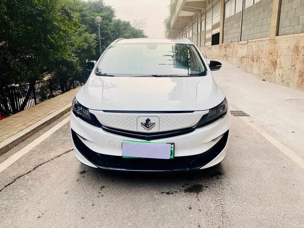 RUILAN AUTOMOBILE MAPLE LEAF 80V PRO