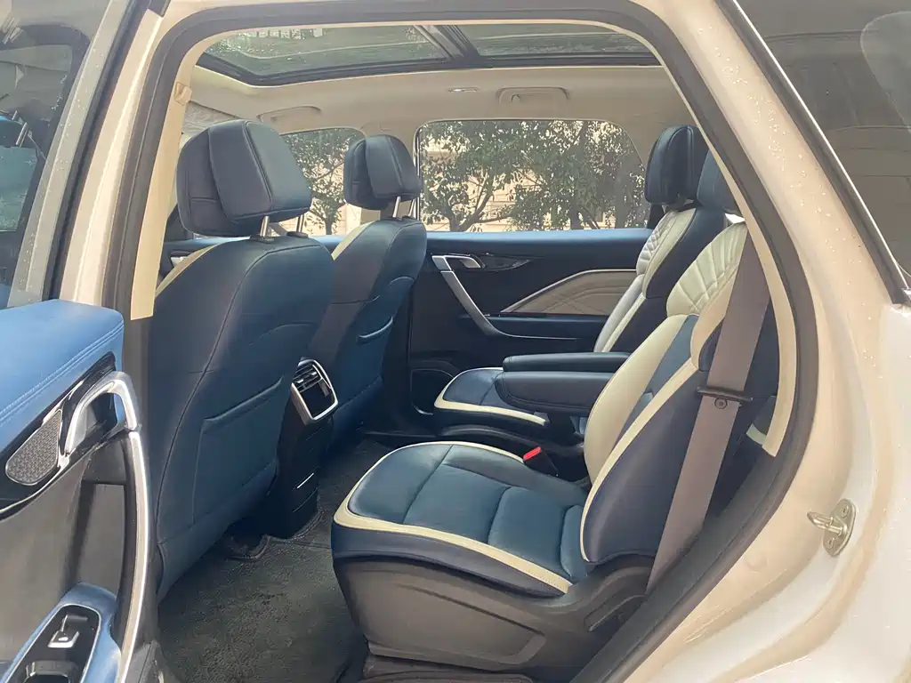 RUILAN AUTOMOBILE MAPLE LEAF 80V PRO