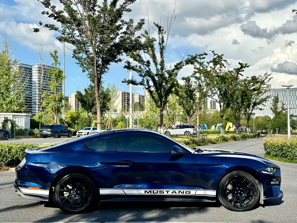 Ford Mustang — миниатюра 7