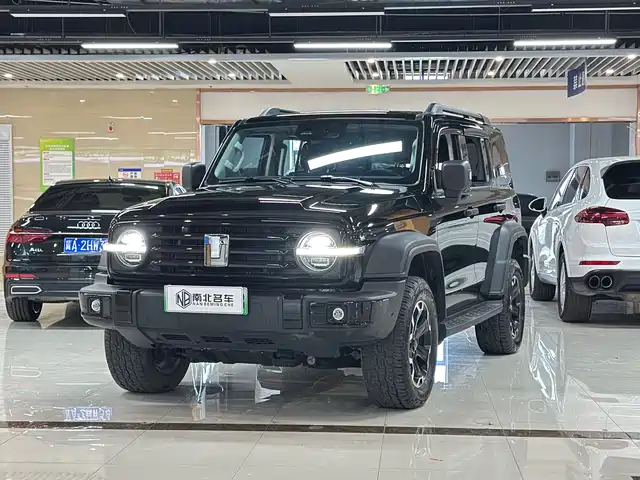 2025 TANK 300