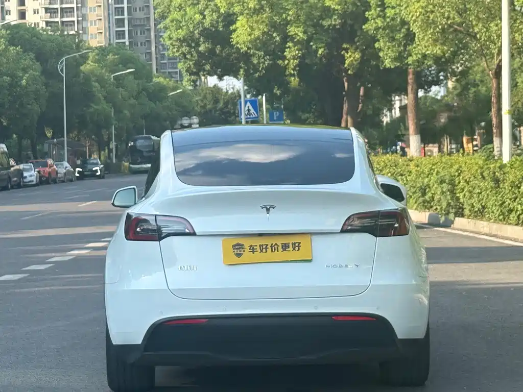 Tesla Model Y — миниатюра 12