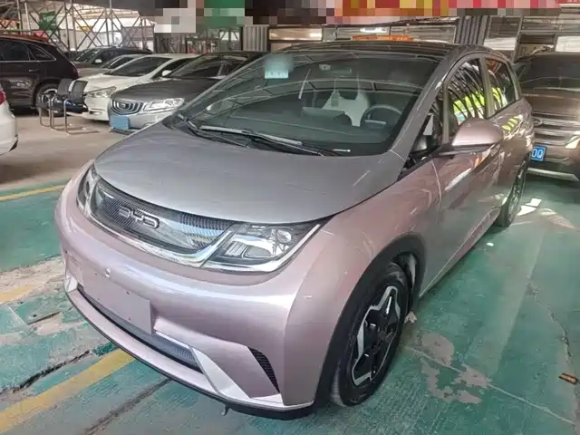 2022 BYD Dolphin
