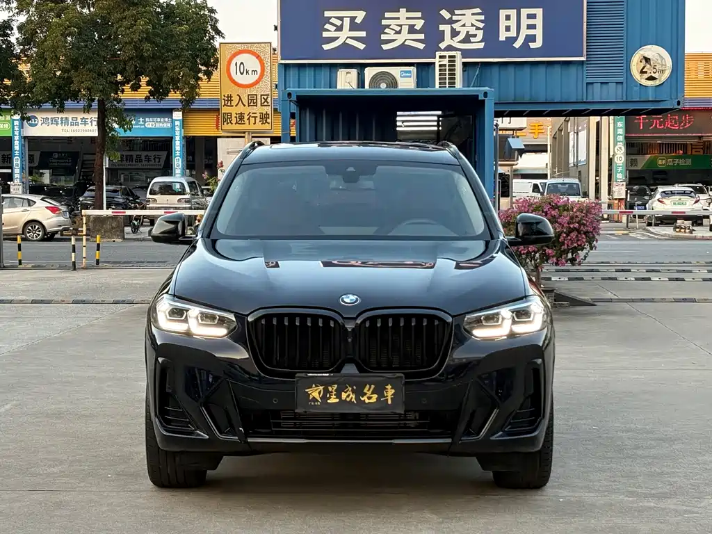 BMW X3 — миниатюра 2