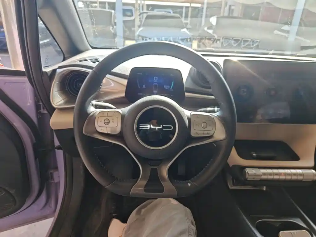 BYD Dolphin — миниатюра 11