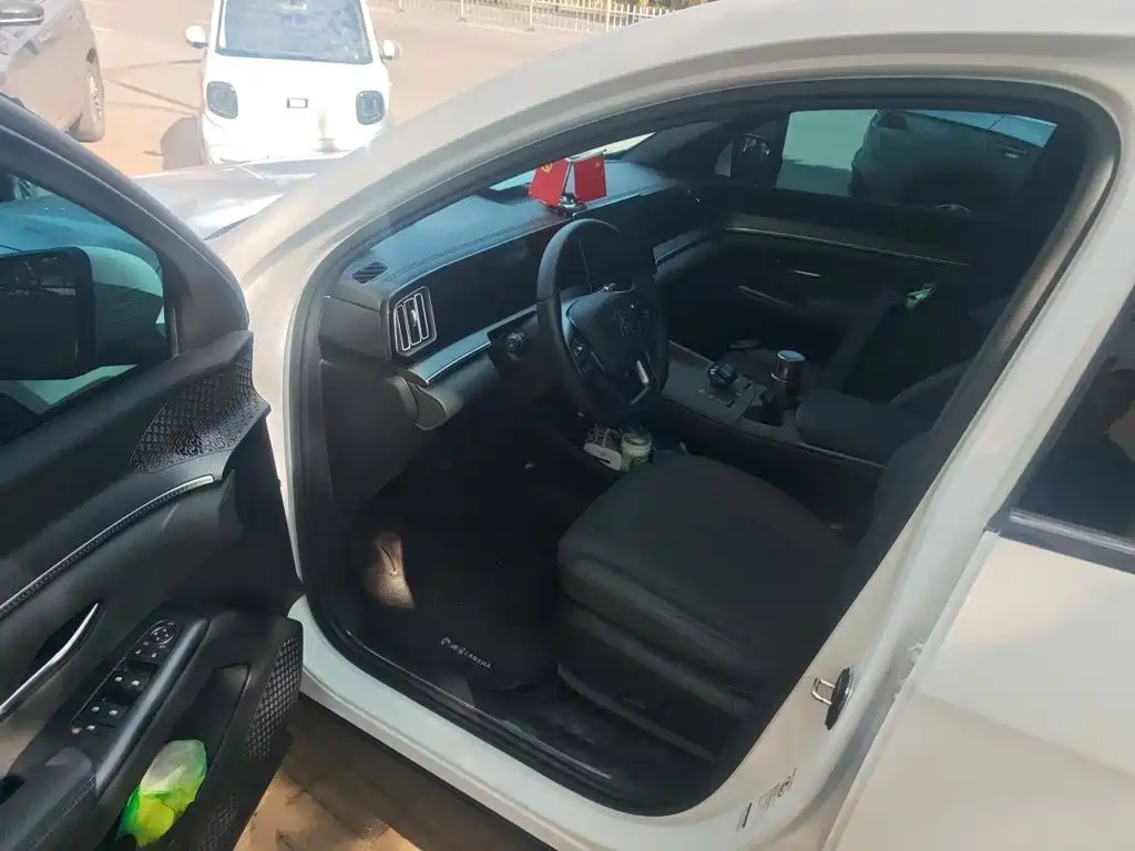 BYD Pro New Energy — миниатюра 12