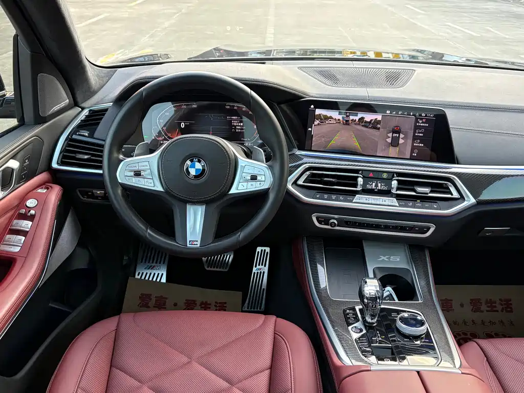 BMW X5 — миниатюра 8