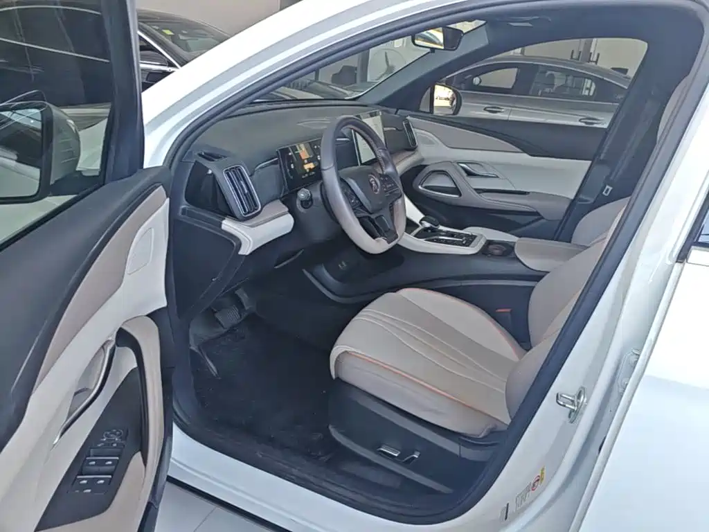 BYD Pro New Energy — миниатюра 16