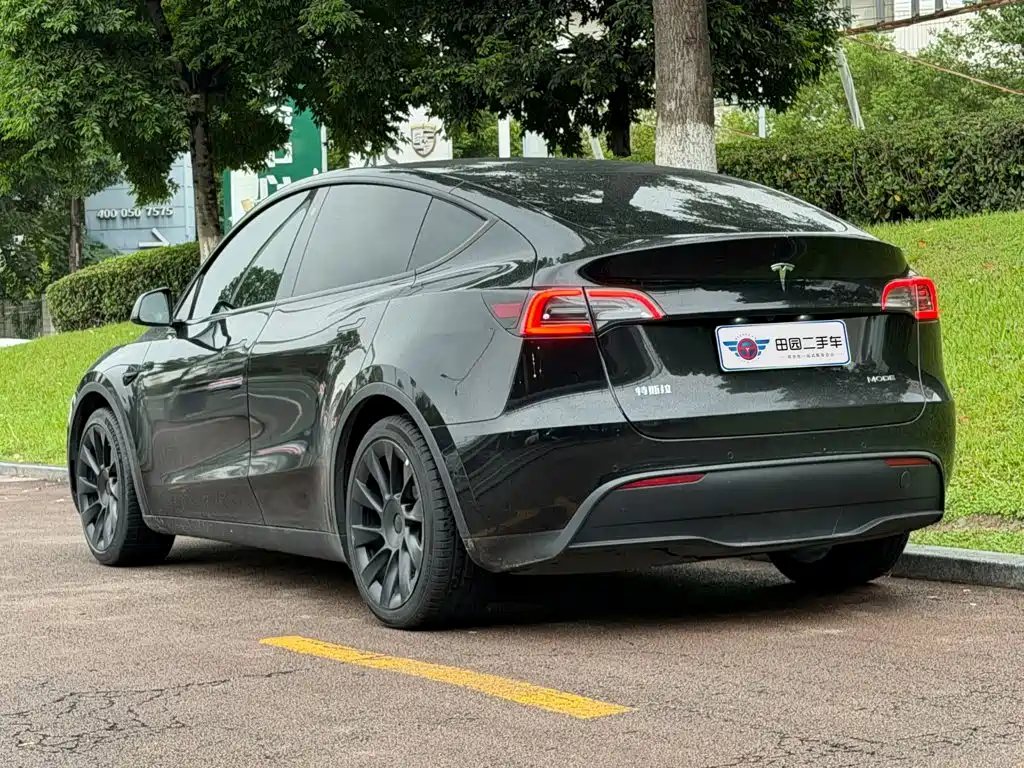 Tesla Model Y — миниатюра 4