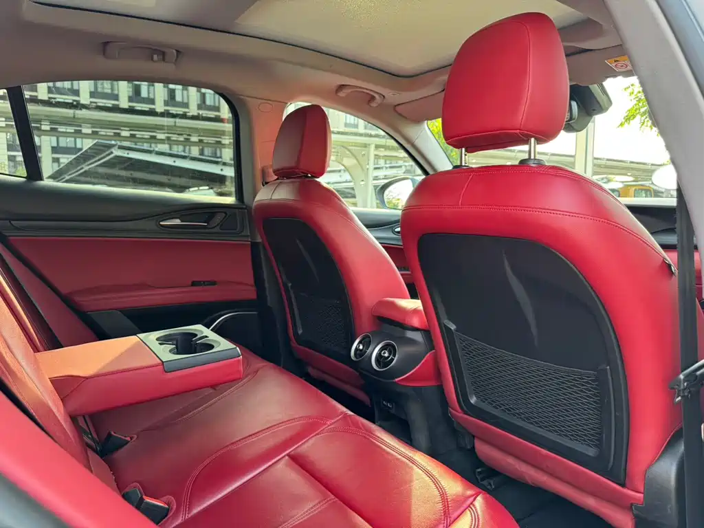 Alfa Romeo Stelvio 2.0T 200HP Luxury Edition, фото 16