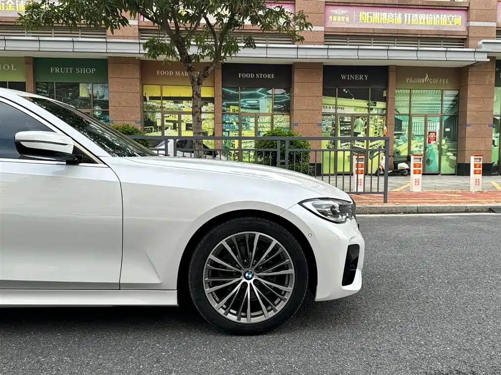 BMW 3 Series 3 2020 325Li M Sport