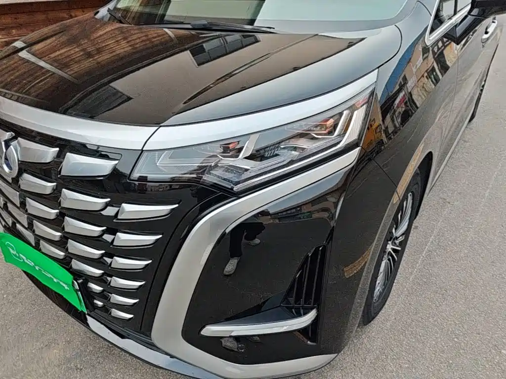 Denza Denza D9 — миниатюра 24