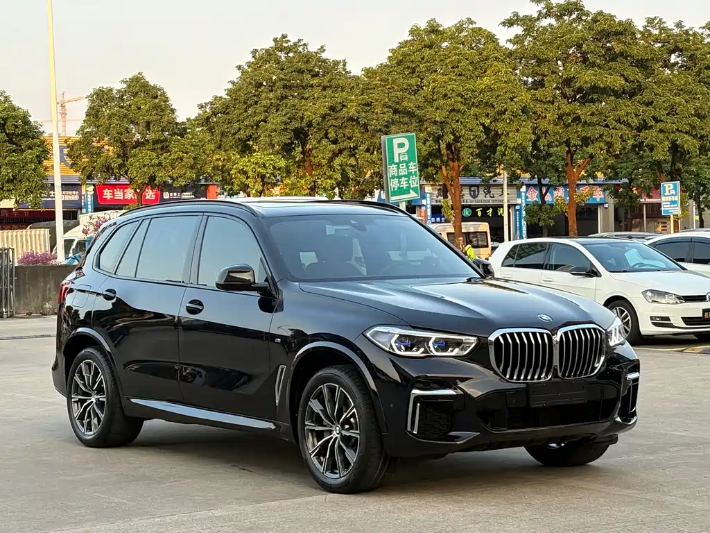 BMW X5 — миниатюра 3
