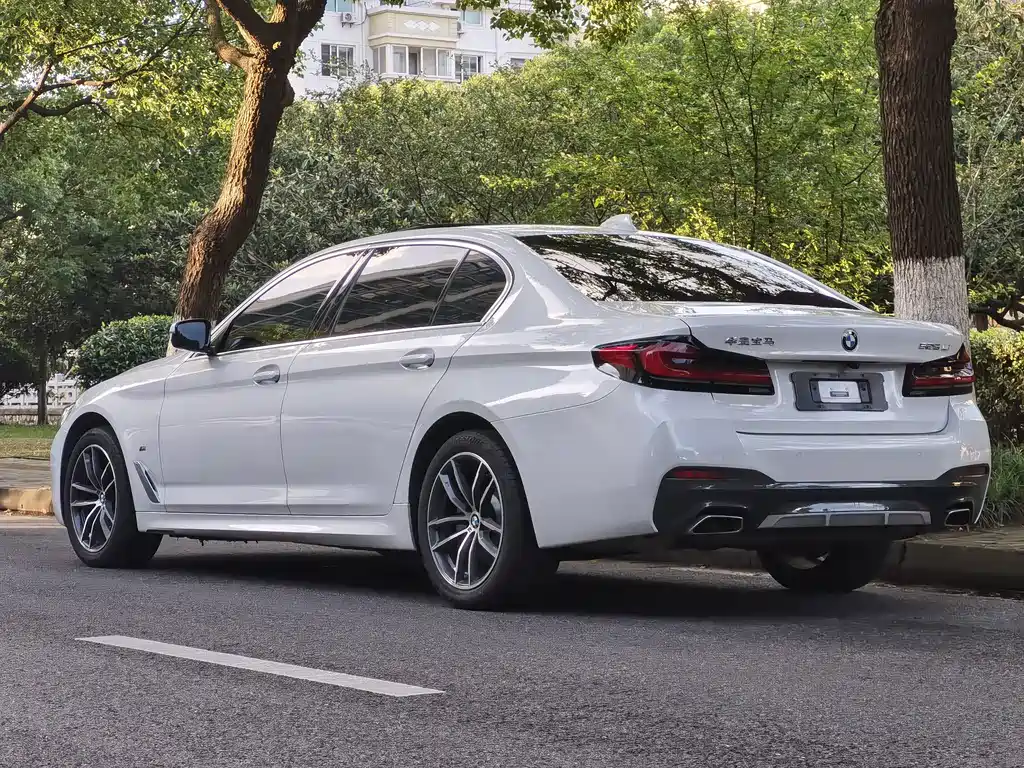 BMW 5 Series — миниатюра 15