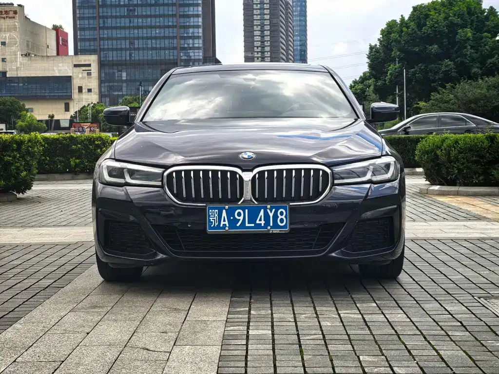 BMW 5 Series (Import) — миниатюра 2