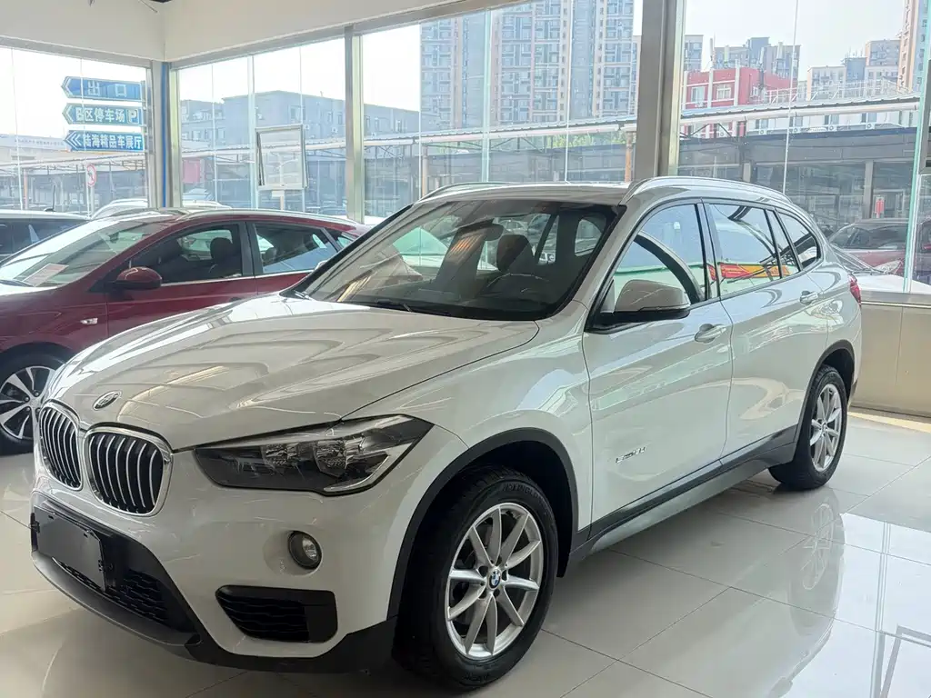 BMW X1 — миниатюра 2
