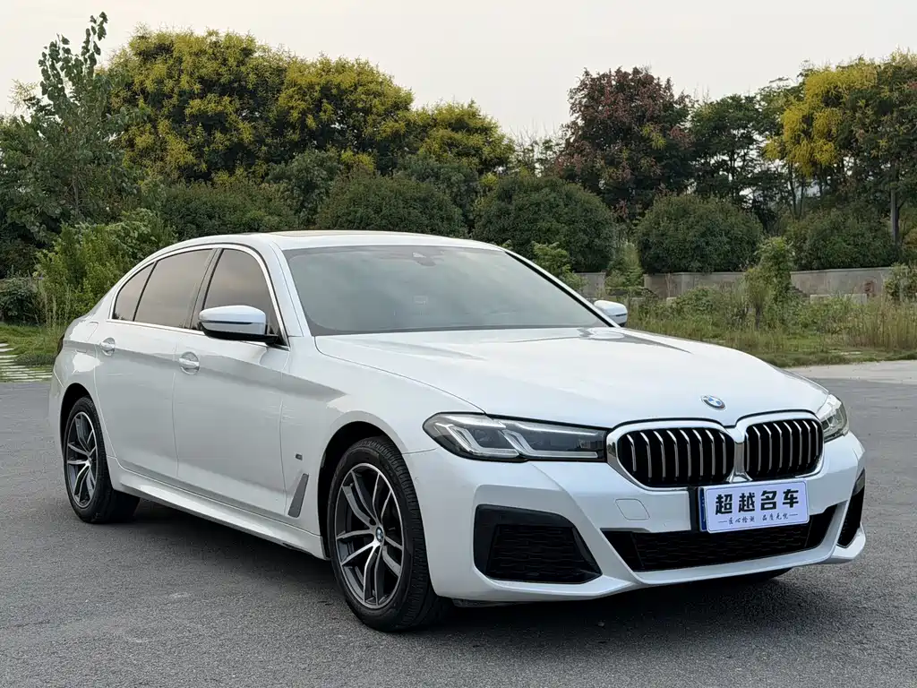 BMW 5 Series — миниатюра 3