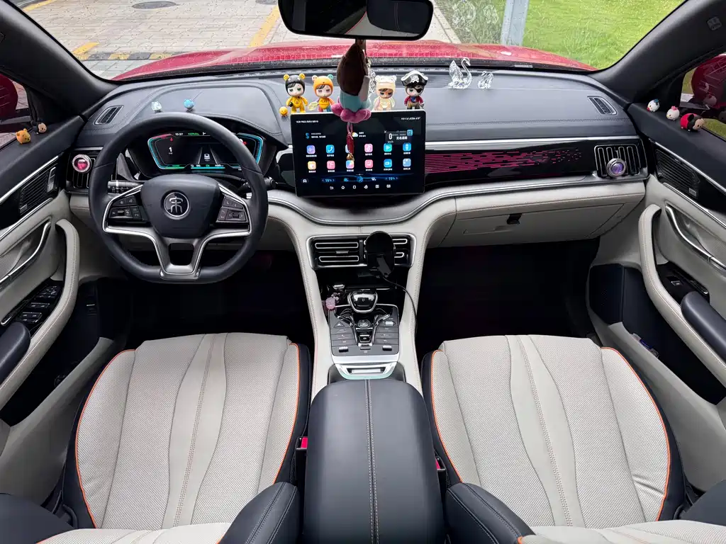 BYD PLUS New Energy — миниатюра 10