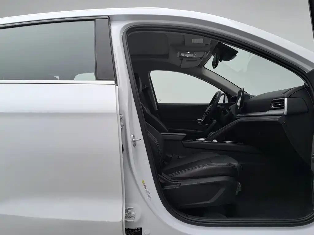 BYD Pro — миниатюра 23