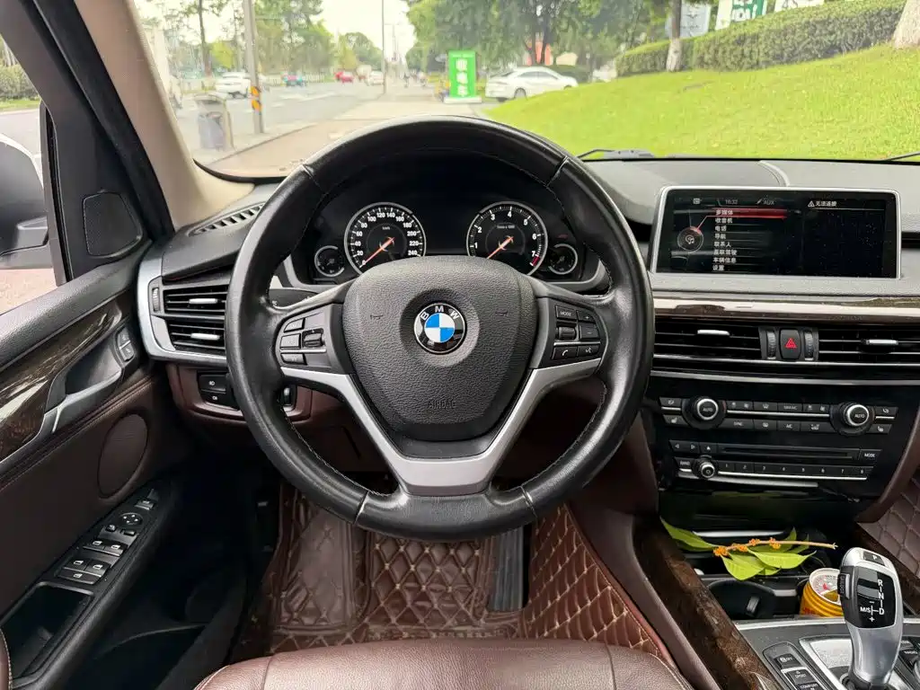 BMW X5 (Import) — миниатюра 14
