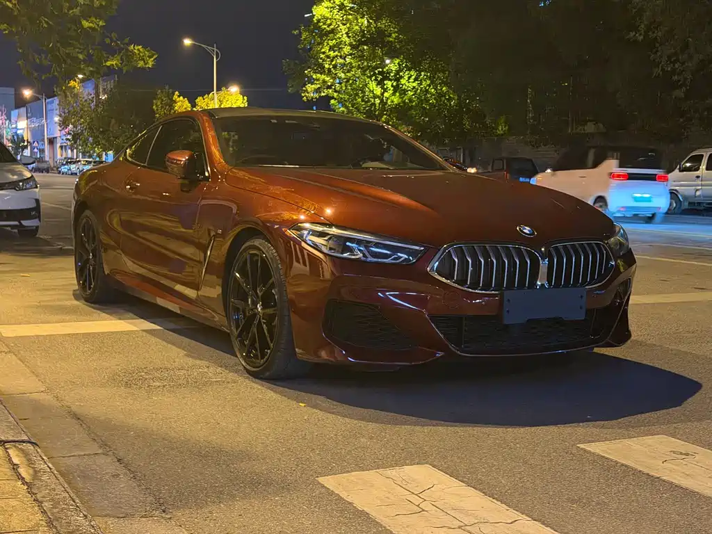 BMW 8 Series — миниатюра 6