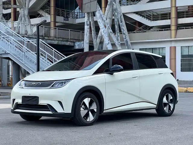 2023 BYD Dolphin