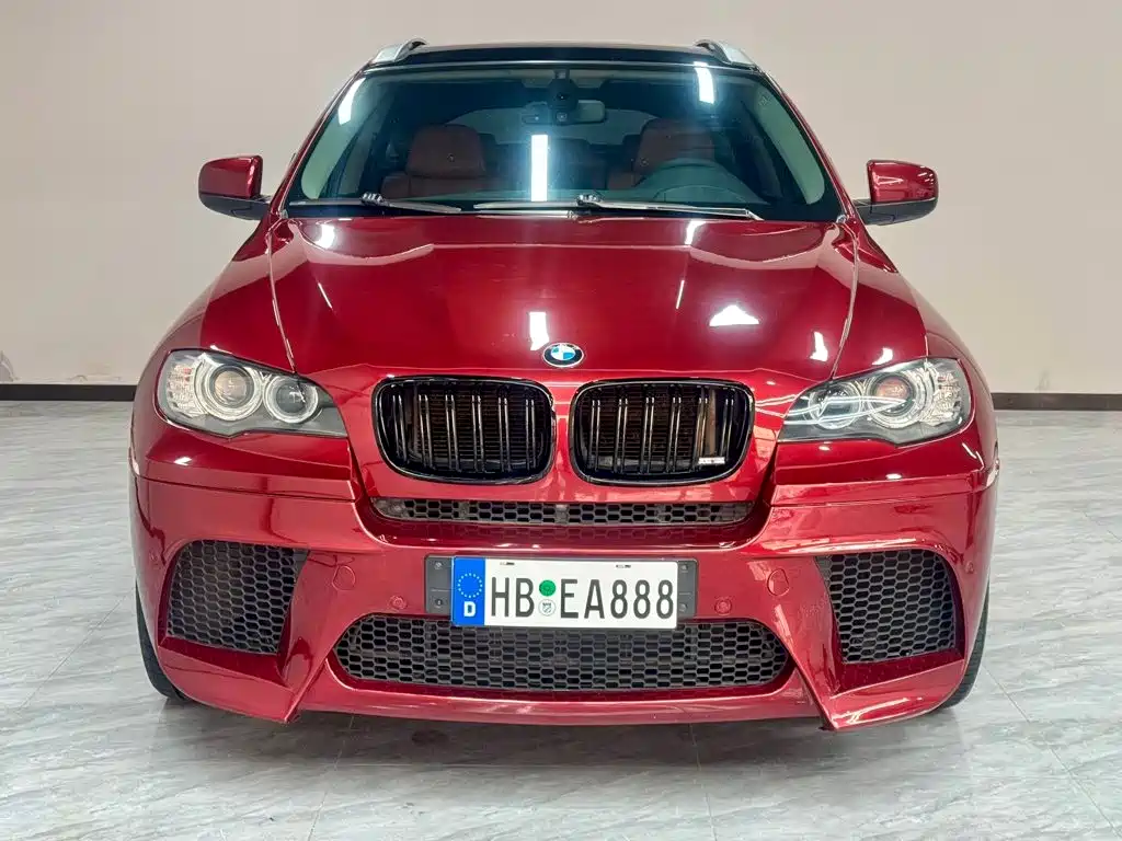 BMW X6 — миниатюра 2