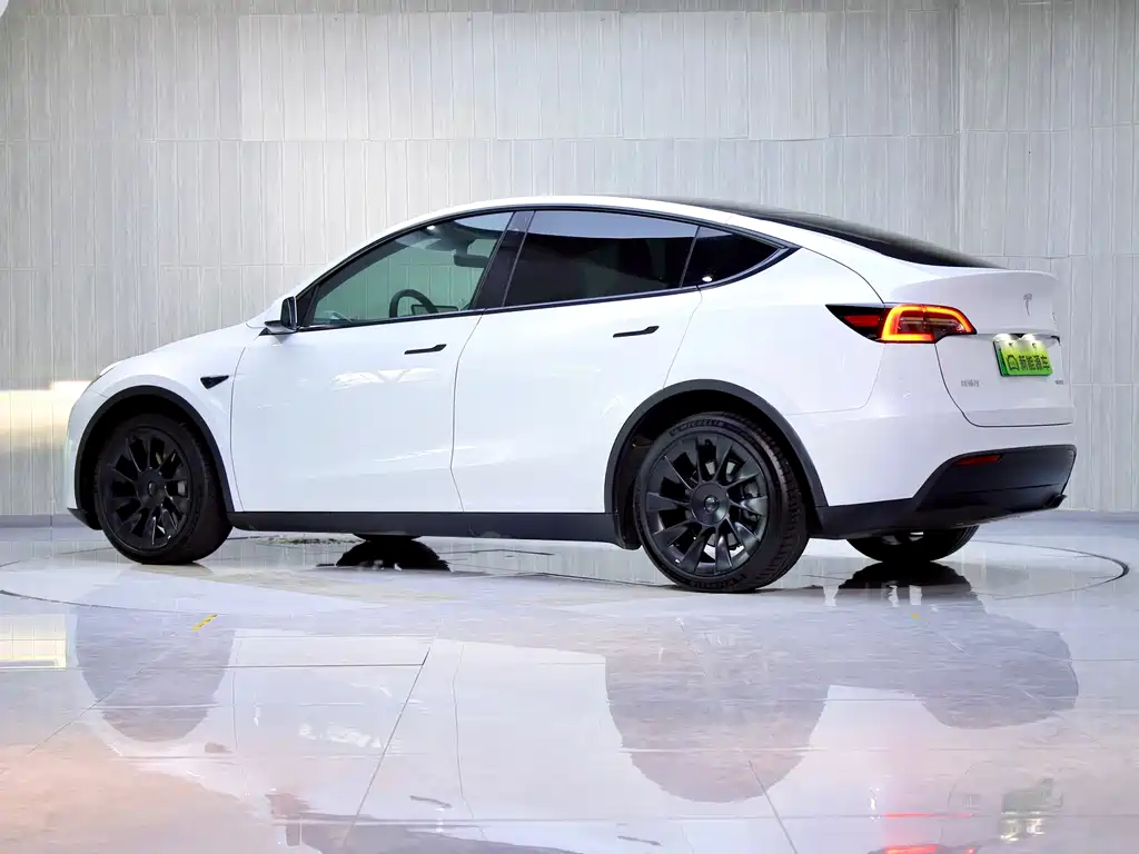 Tesla Model Y — миниатюра 5