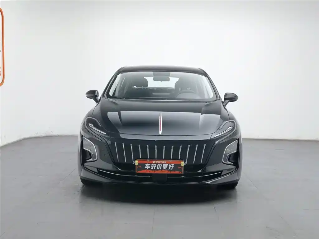 Hongqi HONGQI E QM5