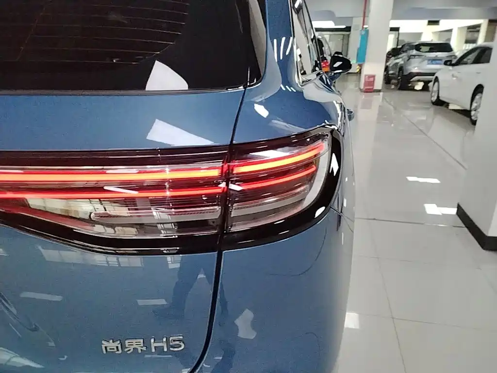 Shangjie Shangjie H5 — миниатюра 8