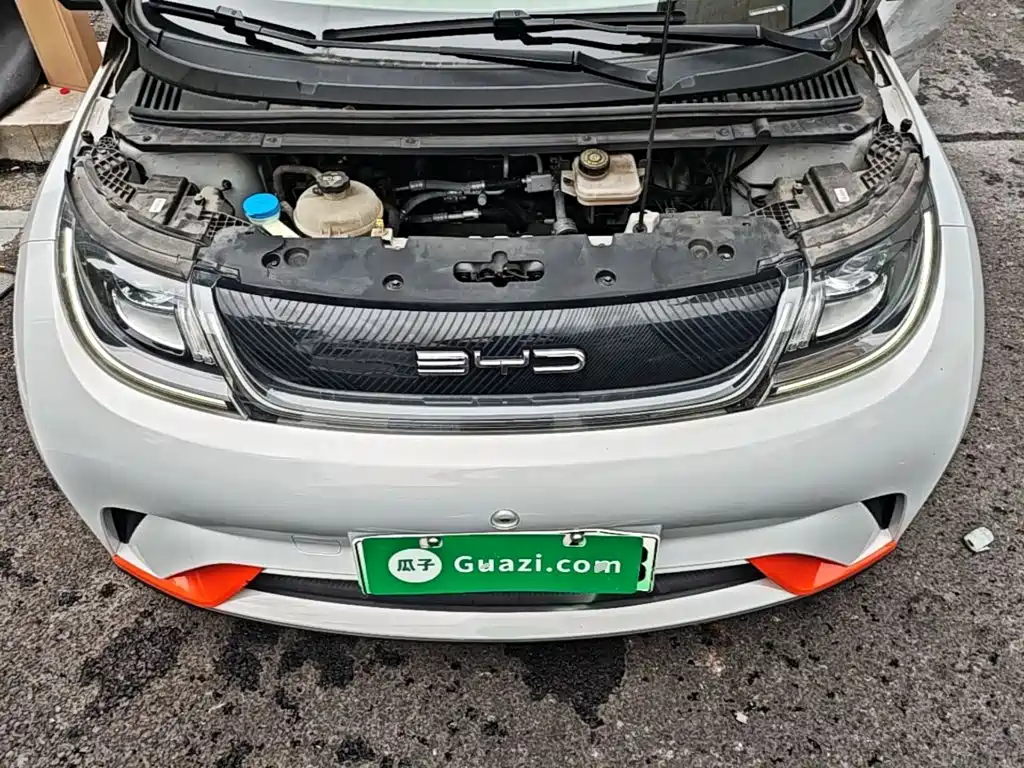 BYD Dolphin — миниатюра 20