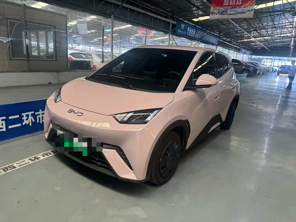 BYD Seagull