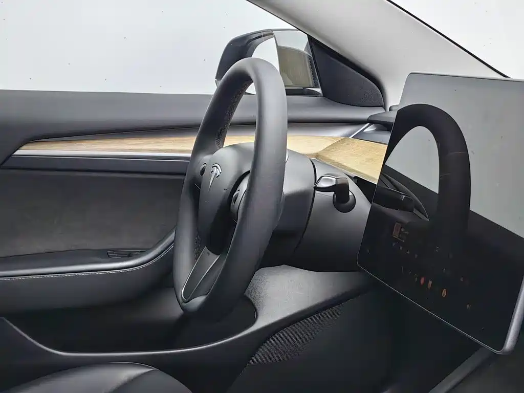 Tesla Model 3 — миниатюра 22