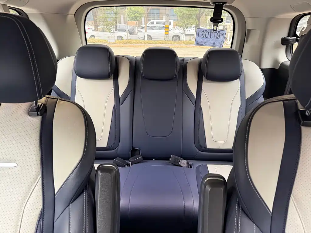 SAIC MAXUS CHASE G20