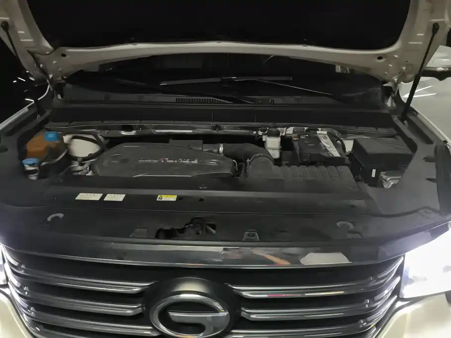 GAC Motor Trumpchi GS8 — миниатюра 10