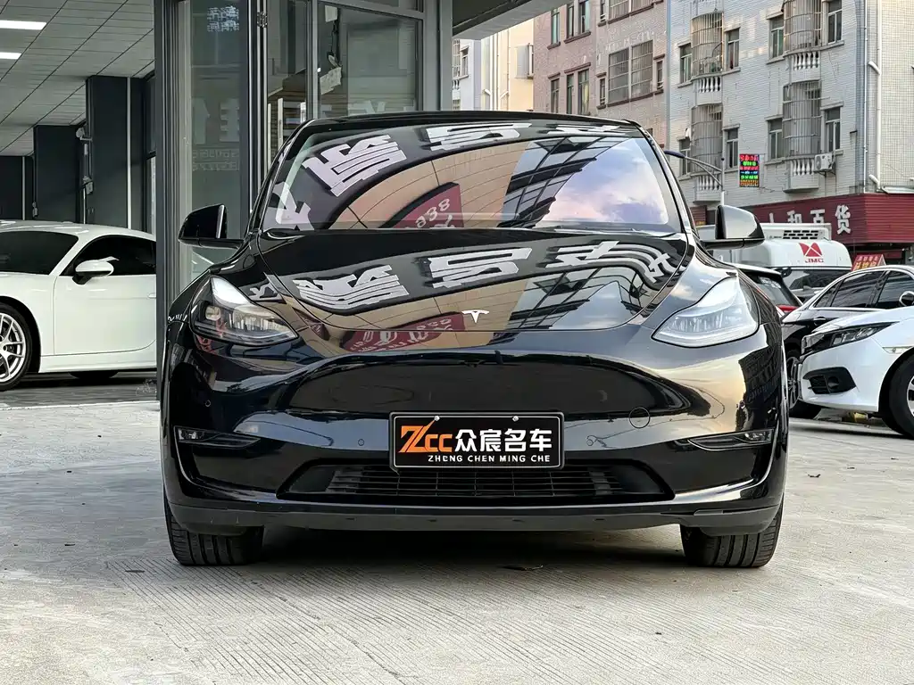 Tesla Model Y — миниатюра 2