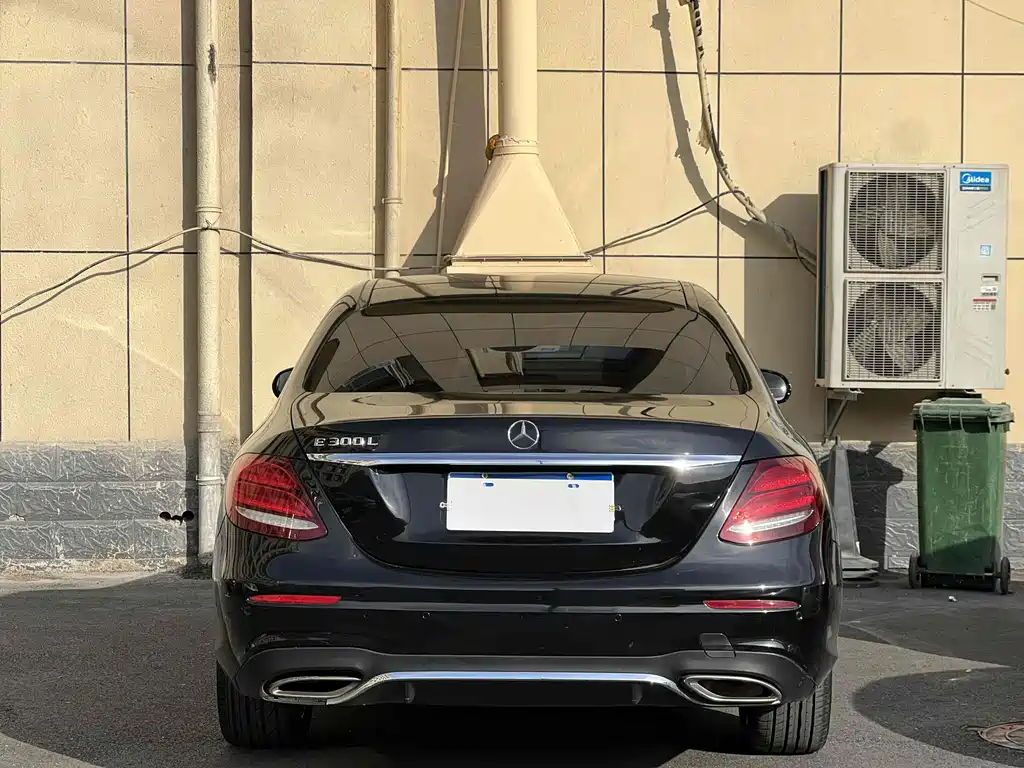 Mercedes-Benz E-Class E 2019 E 300 L Luxury