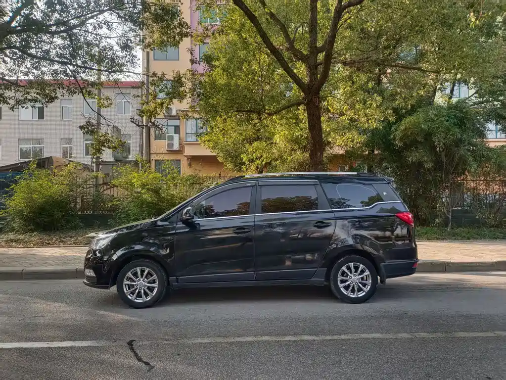 BAW Weiwang M50F — миниатюра 8