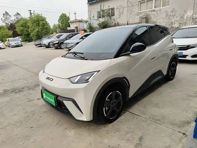 2024 BYD Seagull