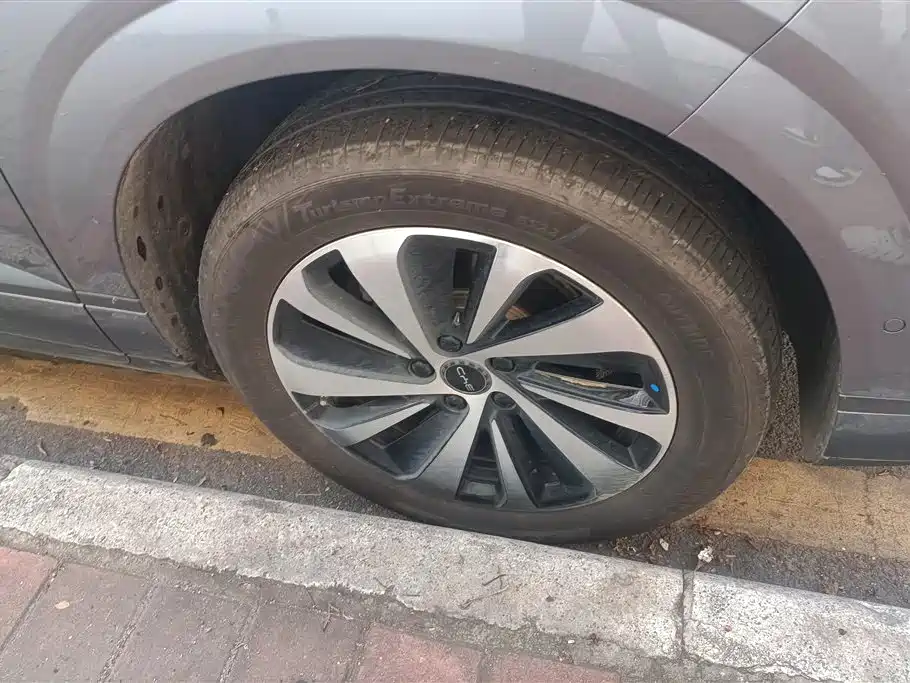 BYD Sea Lion 06 06 2026 EV 605