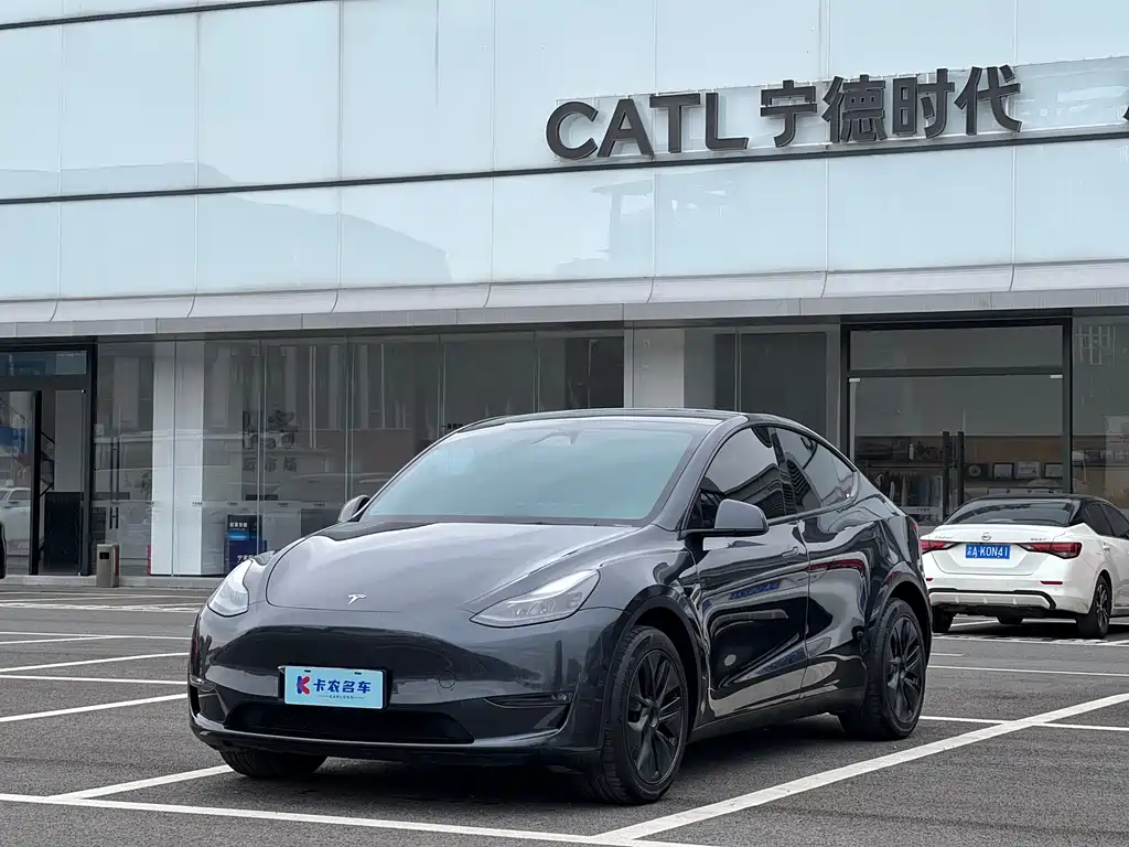 Tesla Model Y — миниатюра 2